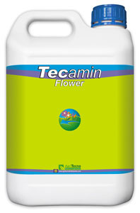 tecamin flower